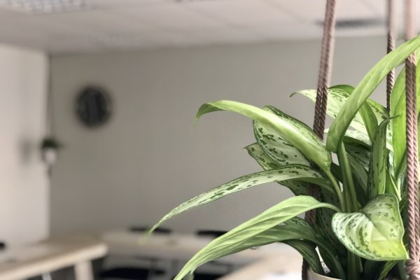 Pensioenwet in trackchanges – Verzamelwet 2020